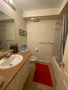 Room for rent at York University/Seneca College - Photo 6