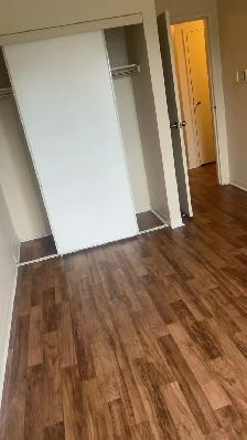 Jamaican immigrant male roommate