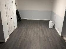 One Bedroom Walk-Out Basement Apartment For Rent - Photo 2