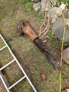 WET BASEMENT SUBSIDY TORONTO SUMP PUMP BACKWATER VALVE FOUNDATIO - Photo 10