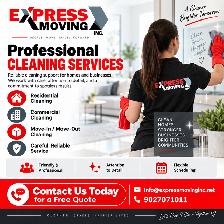 Professional Cleaning Made Simple