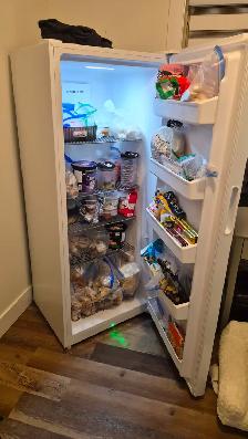 Freezer upright