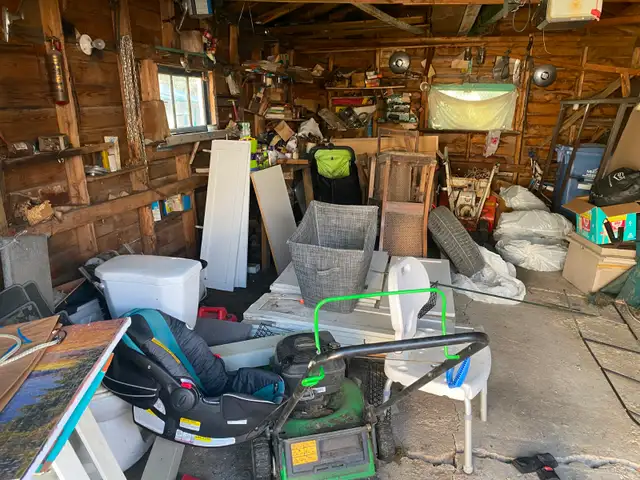 Two Punks Junk Removal, Tree Trimming, Yard Care, and More!