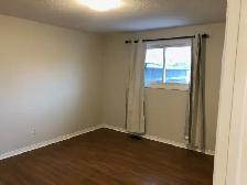 WOW This is a Rental Property???  Not like ANY we’ve seen!! - Photo 8