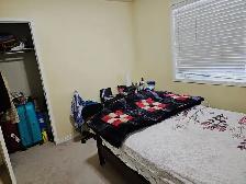 I have One private Room Rent is in Brampton - Photo 3