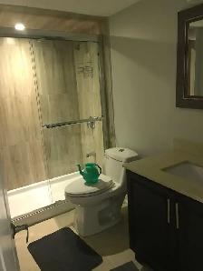 BASEMENT APARTMENT FOR RENT – CHURCHILL MEADOWS, MISSISSAUGA - Photo 5
