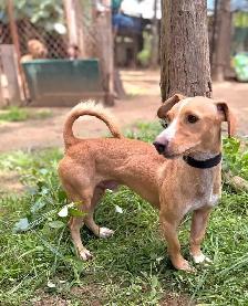 Meet Pipo - Photo 3
