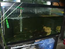 MOVING SALE 90 GALLON TANK DRILL WITH OVER FLOW $80 - Photo 2