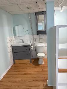 Spacious Basement Suite for Rent - Photo 3