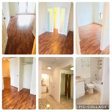 2 Bedroom Condo for Rent–North York Location (Yonge & Sheppard) - Photo 3