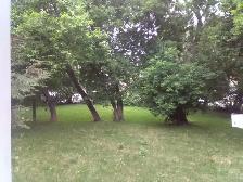 5½ Centre-Ville de Sherbrooke - Photo 2