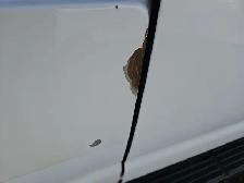 2014 Ford E-350 - Photo 21