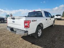 2019 Ford F-150 - Photo 4