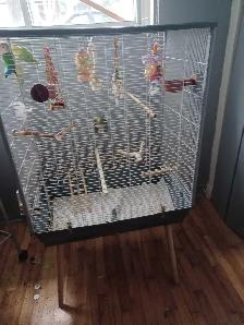 grande cage tout équipé avec 3 inséparable de 1ans1/2 $380 - Photo 3