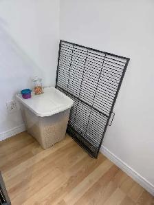 youyou du Sénégal  avec ou sans grande cage - Photo 2