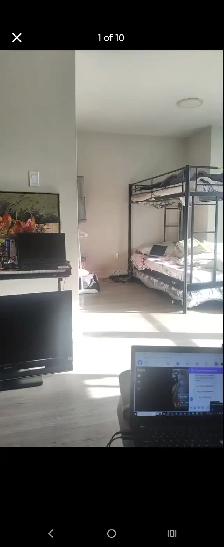TORONTO ROOMS MIDTOWN STUDY ABROAD INTERNATIONAL STUDENT HOUSING