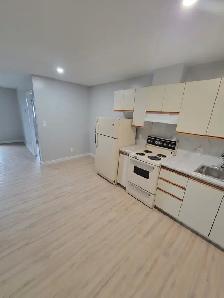 One Bedroom Available Now in Minnow Lake