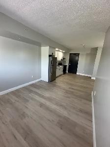 Brand New One Bedroom Available October & November - Photo 3