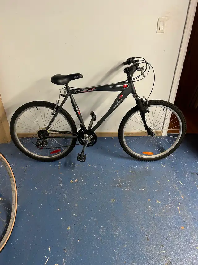 Small Raleigh Bicycle
