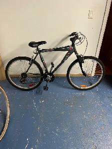 Small Raleigh Bicycle