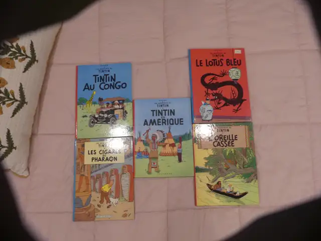 A qui la chance Collection TINTIN