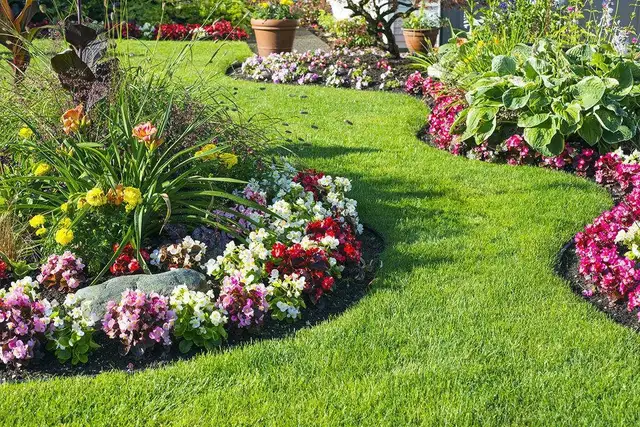 Gardener available Not hiring