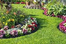 Gardener available Not hiring