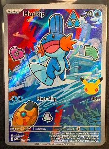 Pokemon First Partner Collection Series 3: Hoenn Starters Set - Photo 2