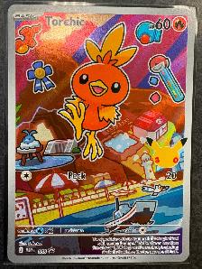 Pokemon First Partner Collection Series 3: Hoenn Starters Set - Photo 3