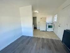 One Bedroom Apt in Belleville $1000 - Photo 3