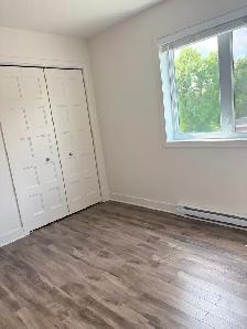 LOGEMENT 5 ½ AVEC GRANDE TERRASSE   STATIONNEMENT   CABANON - Photo 5