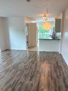 LOGEMENT 5 ½ AVEC GRANDE TERRASSE   STATIONNEMENT   CABANON - Photo 6