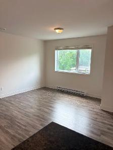 LOGEMENT 5 ½ AVEC GRANDE TERRASSE   STATIONNEMENT   CABANON - Photo 7