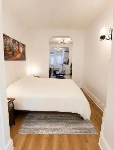 appartement meublé à louer Plateau Laurier furnished - Photo 10