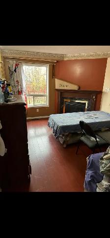Rooms and basement for rent Brampton