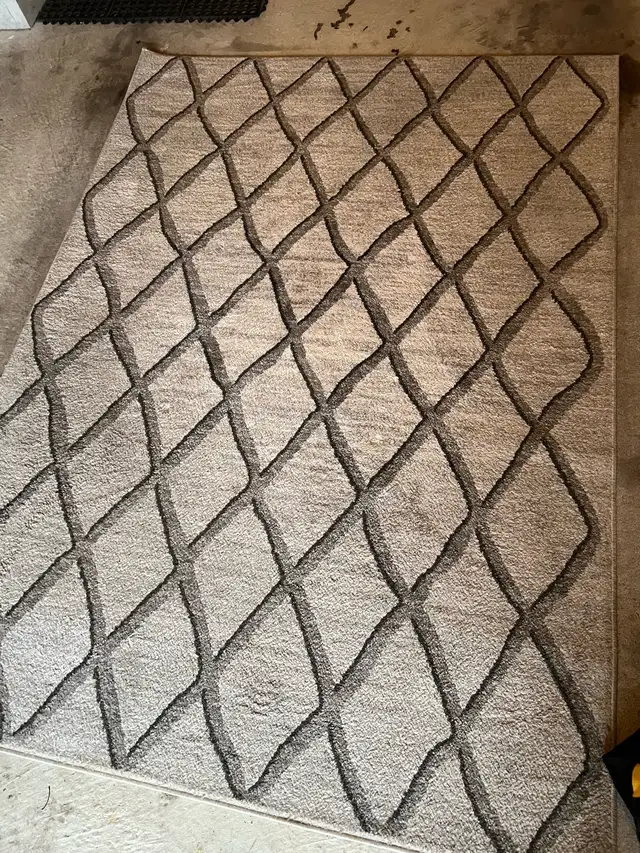 Shampoo Steam Area Rugs Runners $40
