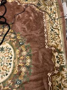 Shampoo Steam Area Rugs Runners $40 - Photo 3