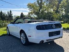 2014 Ford Mustang Premium Convertible ONLY 125,000KMS! - Photo 5