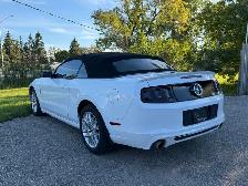 2014 Ford Mustang Premium Convertible ONLY 125,000KMS! - Photo 6