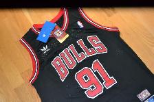 New w/ Tags DENNIS RODMAN All Embroidered Jersey - Photo 2