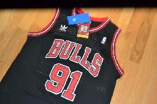 New w/ Tags DENNIS RODMAN All Embroidered Jersey - Photo 3
