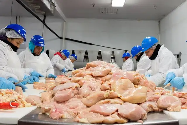 General labour - Meat factory - Whitchurch-Stouffville (Concord)