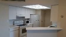 Condo Unit for Rent (Bay Street, Toronto) - Photo 2