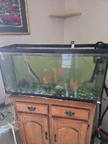 Aquarium