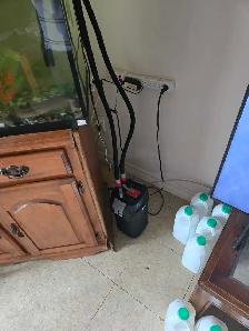 Aquarium - Photo 2