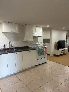 1 Bedroom Basement Apartment | Walkout Basement - Photo 4