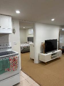 1 Bedroom Basement Apartment | Walkout Basement - Photo 8