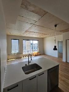 3 ½ MODERNES À LOUER À VILLERAY–ÉLECTROMÉNAGERS, GYM ET TERRASSE