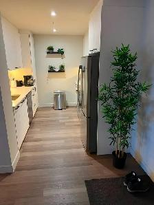3 ½ MODERNES À LOUER À VILLERAY–ÉLECTROMÉNAGERS, GYM ET TERRASSE - Photo 8