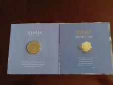 Princess Diana Memorial Coin - Photo 4
